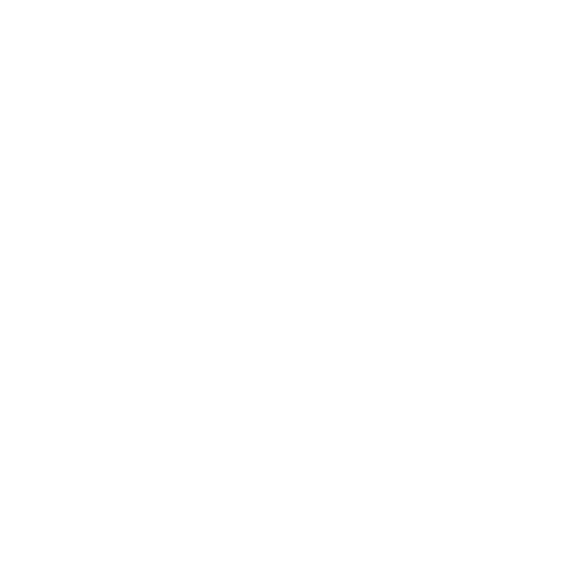 100 day return